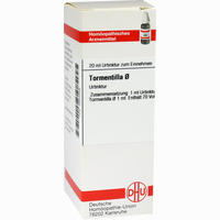 Tormentilla Urtinktur Dilution 20 ml - ab 10,17 €