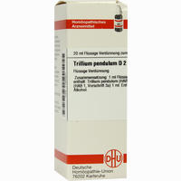 Trillium Pendul D2 Dilution 20 ml