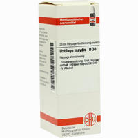 Ustilago Maydis D30 Dilution 20 ml