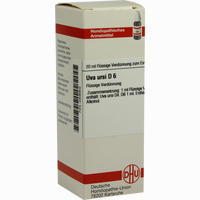 Uva Ursi D6 Dilution 20 ml