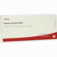 Valvula Mitralis Gl D6 Ampullen 10 x 1 ml