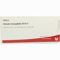 Valvula Tricuspidal Gl D12 Ampullen 10 x 1 ml