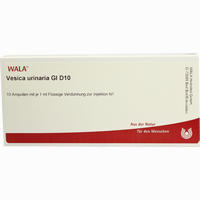 Vesica Urinaria Gl D10 Ampullen 10 x 1 ml