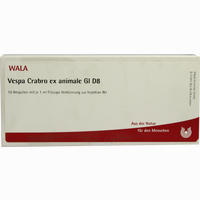Vespa Crabro Ex Ani Gl D8 Ampullen 10 x 1 ml