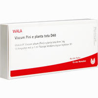 Viscum Pini E Planta Tota D40 Ampullen 10 x 1 ml