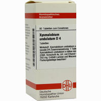 Xysmalobium und D4 Tabletten 80 Stück