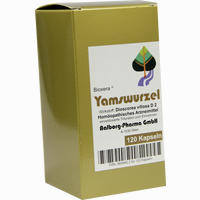 Yamswurzel 60 Stück - ab 12,95 €