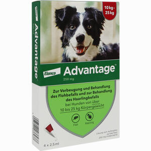Advantage 250mg Lösung für Hunde  4 Stück Advantage 250mg Lösung für Hunde  4 Stück