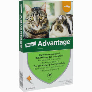 Advantage 40mg für Kleine Katzen und Kleine Zierkaninchen Lösung 4 x 0.4 ml