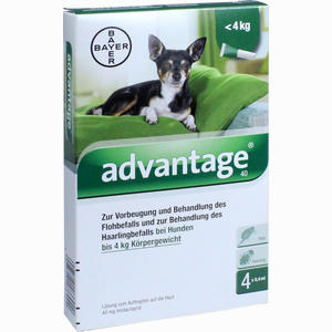 Advantage 40mg Lösung für Hunde  4 Stück - ab 22,74 €