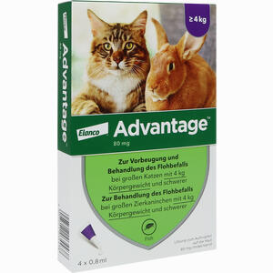 Advantage 80mg für Große Katzen und Große Zierkaninchen Lösung 4 x 0.8 ml Advantage 80mg für Große Katzen und Große Zierkaninchen Lösung 4 x 0.8 ml