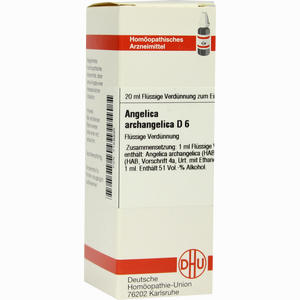 Angelica Archangelica D6 Dilution 20 ml - ab 10,45 €
