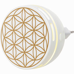 Aroma Duftstecker Easy 1 Stück - ab 17,48 &euro;