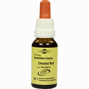 Bachblüten Murnauer Tropfen Chestnut Bud  20 ml - ab 8,49 €