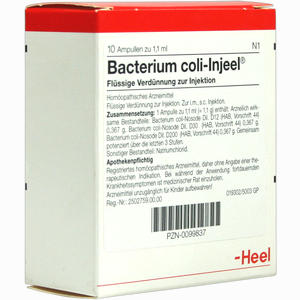 Bacterium Coli- Injeel Ampullen 10 Stück - ab 18,40 €