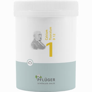Biochemie Pflüger Nr. 1 Calcium Fluoratum D12 Pulver 250 g - ab 20,86 €