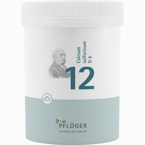 Biochemie Pflüger Nr. 12 Calcium Sulfuricum D6 Pulver 250 g - ab 25,52 €