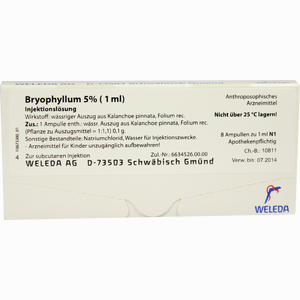 Bryophyllum 5% (1ml) Ampullen 8 x 1 ml - ab 25,37 €