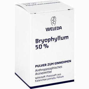 Bryophyllum 50% Pulver 20 g - ab 17,80 €