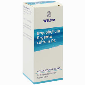 Bryophyllum Arg Cul D2 Dilution 50 ml - ab 20,33 €