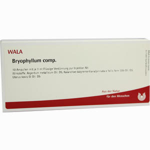 Bryophyllum Comp Ampullen 10 x 1 ml - ab 20,50 €