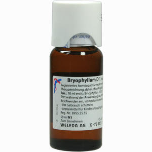 Bryophyllum D 1 Dilution 50 ml - ab 0,00 &euro;