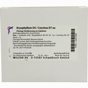 Bryophyllum D5 Con D 7 Ampullen 5 x 10 ml - ab 33,35 €