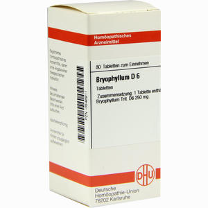 Bryophyllum D6 Tabletten 80 Stück - ab 8,88 €