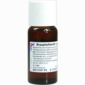 Bryophyllum Urtinktur Dilution 50 ml - ab 31,37 €