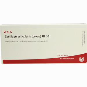 Cartilago Art (cox) Gl D6 Ampullen 10 x 1 ml - ab 0,00 &euro;