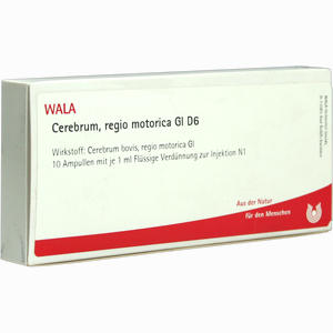 Cerebrum Regio Moto Gl D6 Ampullen 10 x 1 ml - ab 0,00 €
