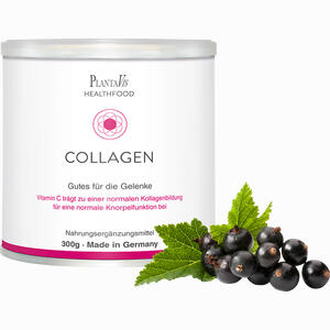 Collagen - Gutes für die Gelenke Pulver 300 g - ab 32,56 €
