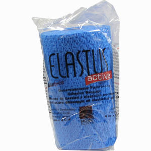 Elastus Active Bandage10cm  1 Stück - ab 0,00 &euro;