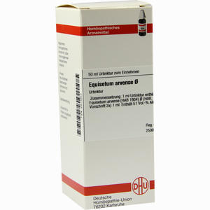 Equisetum Arv Urtinktur Dilution 50 ml - ab 0,00 €