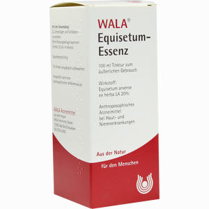 Equisetum- Essenz  100 ml - ab 0,00 &euro;