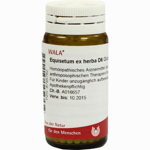 Equisetum Ex Herba D6 Globuli 20 g - ab 8,11 €