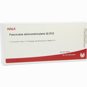 Fasciculus Atrioven Gl D12 Ampullen 10 x 1 ml - ab 26,48 €