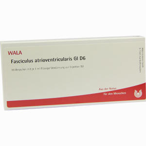 Fasciculus Atrioven Gl D6 Ampullen 10 x 1 ml - ab 0,00 €
