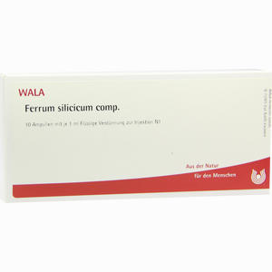 Ferrum Silicicum Comp Ampullen 10 x 1 ml - ab 20,63 €