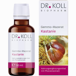 Gemmo- Mazerat Kastanie Dr. Koll Castanea Vesca 50 ml - ab 15,18 &euro;