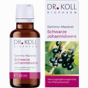 Gemmo- Mazerat Schwarze Johannisbeere Dr. Koll Ribes 50 ml - ab 14,64 &euro;