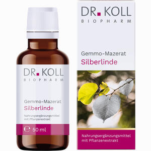 Gemmo- Mazerat Silberlinde Dr. Koll Tilia Tomentosa 50 ml - ab 14,29 &euro;