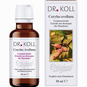 Gemmoextrakt Haselnuss Tropfen 50 ml - ab 0,00 &euro;