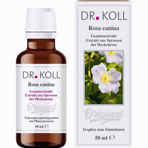 Gemmoextrakt Heckenrose Tropfen 50 ml - ab 0,00 €