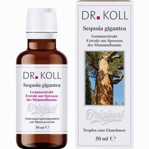 Gemmoextrakt Mammutbaum Tropfen 50 ml - ab 0,00 &euro;