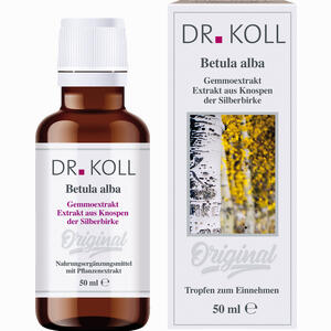 Gemmoextrakt Silberbirke Tropfen 50 ml - ab 0,00 &euro;