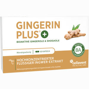 Gingerin Plus 60 Stück - ab 18,29 &euro;