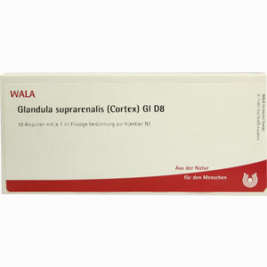 Glandula Supr (cor) Gl D8 Ampullen 10 x 1 ml - ab 26,73 €