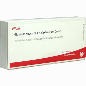 Glandula Suprarenalis Dextra Cum Cupro Ampullen 10 x 1 ml - ab 20,25 €