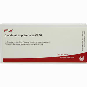 Glandulae Supraren Gl D4 Ampullen 10 x 1 ml - ab 31,95 €